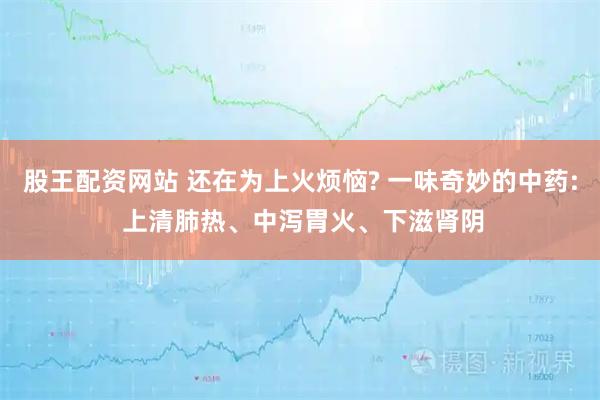 股王配资网站 还在为上火烦恼? 一味奇妙的中药: 上清肺热、中泻胃火、下滋肾阴
